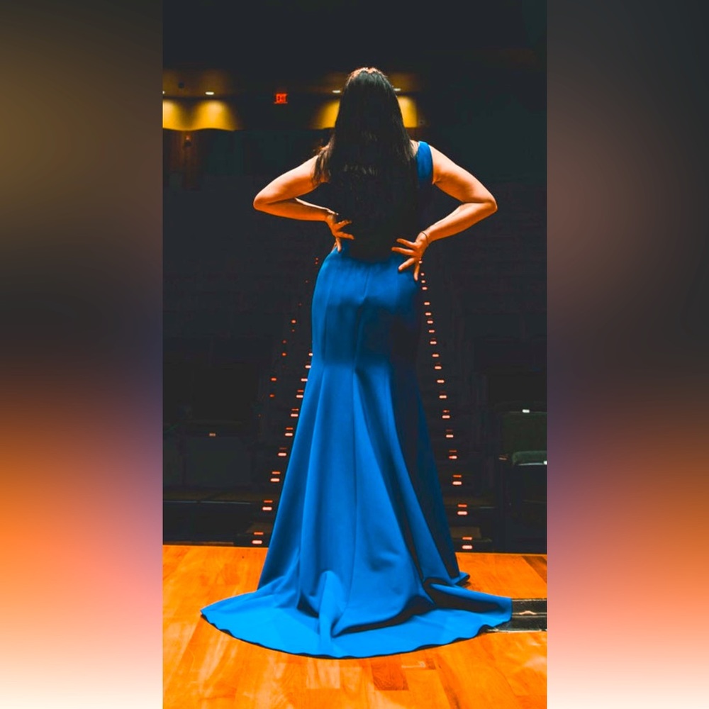 Absolutely gorgeous luxurious evening gown brand - JANIQUE